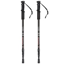 Pair of Telescopic Walking