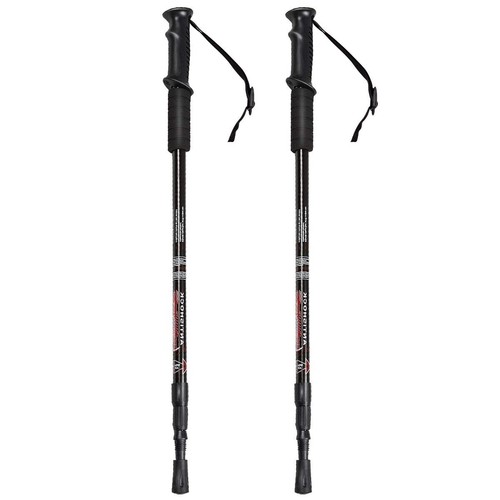 Pair telescopic walking - of,