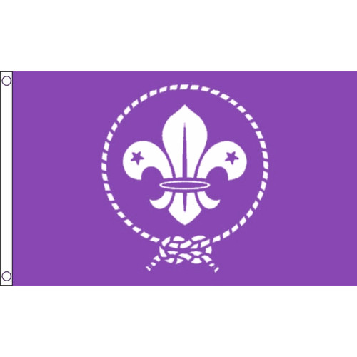 Scouts purple flag - scouts, hand