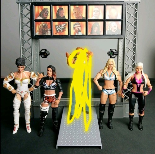 Wwe mattel female - wwe,