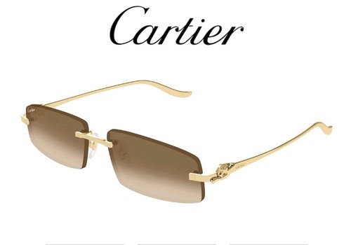 New ct0505s gold brown tint - ,
