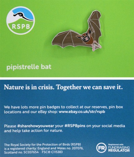 Rspb pin badge niic - rspb,