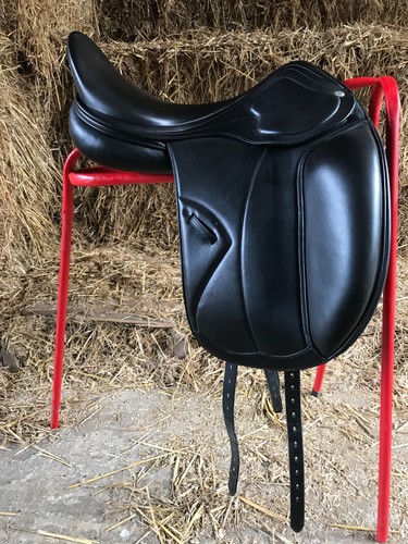 Amerigo pinerolo dressage - pinerolo,