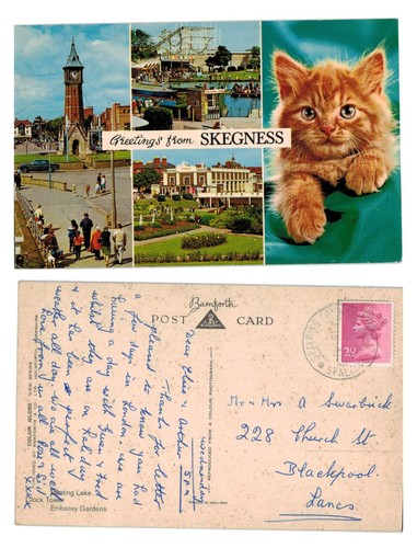 Vintage postcard skegness - postcard,