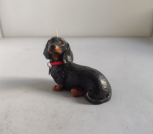 Cute black and tan - cute, miniature