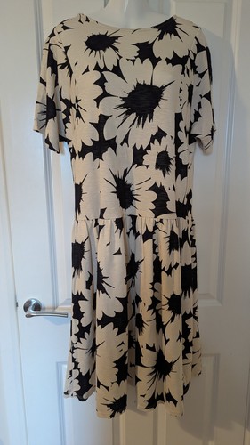 Phase eight ladies - eight, summer