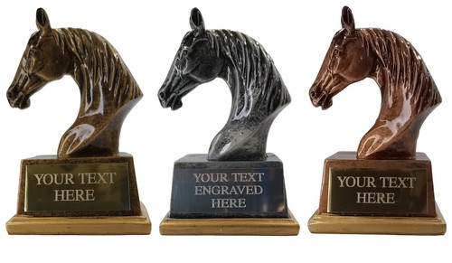 Horse head trophy - horse, show