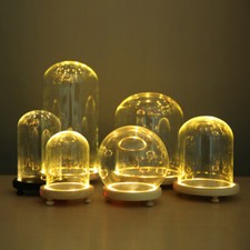 Glass Display Dome Bell Jar