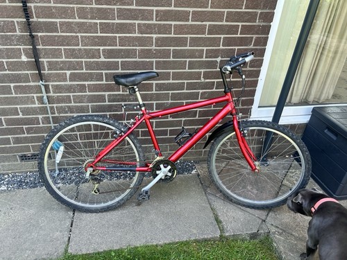 Raleigh max mountain bike - ,
