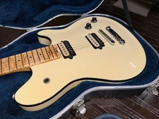 PEAVEY EVH wolfgang USA