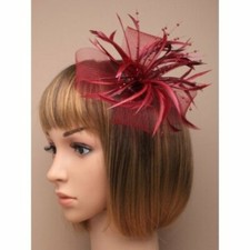 Burgundy Fascinator with Sinamay Net Loops and Feather Tendrils (Beak Clip An...