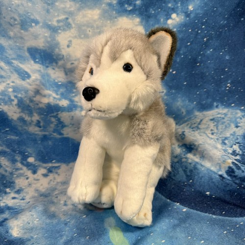 Lapland siberian husky - uk,