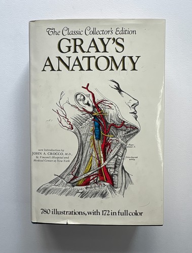 Gray anatomy collectors - gray’s,