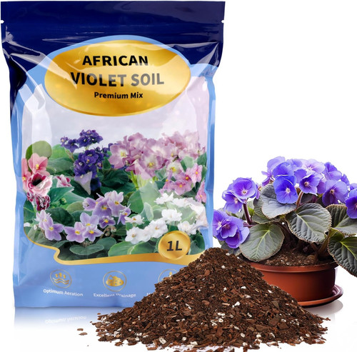 African violet potting - potting, soil