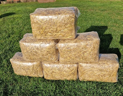 Top quality wheat - quality, 1