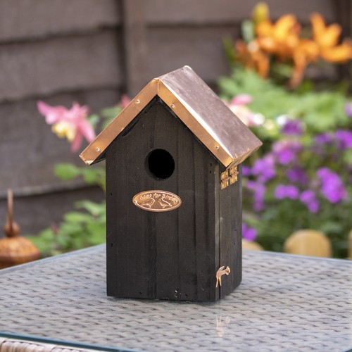 Black copper wren bird house - wren,