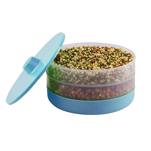 Seed sprouter beans - beans,