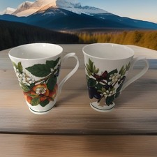 Roy Kirkham “BOTANICA “2 x Mugs Cups Bundle 1996 Peaches & Plum Design Vintage