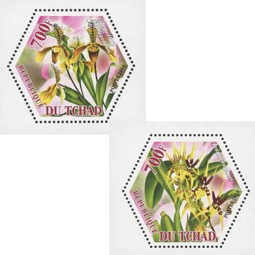 Orchid stamp bundle plant - orchid,