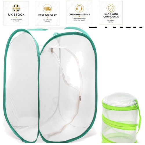 Sturdy pop insect - sturdy, pop-up