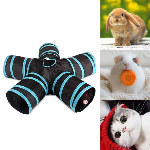 Cat tunnel way - cat,