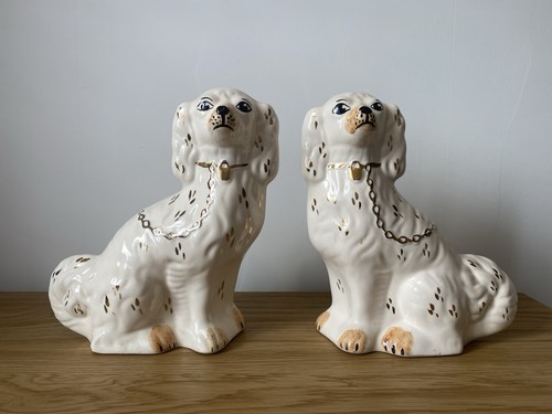 Large king charles spaniel - king,