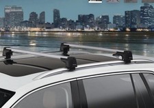 Genuine VW Tiguan mk2  Roof