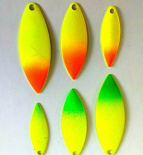 Willowleaf yellow splashed - yellow,