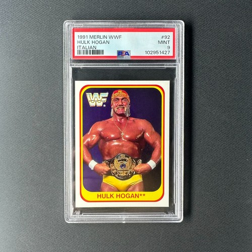 Hulk hogan 1991 merlin - hogan,