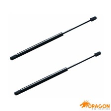 2x Tailgate Boot Gas Struts