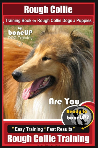 Rough collie training - collie,