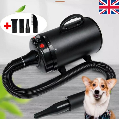 4500w dog hair dryer - dryer, pet