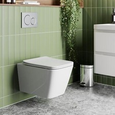 Wall Hung Rimless Toilet &
