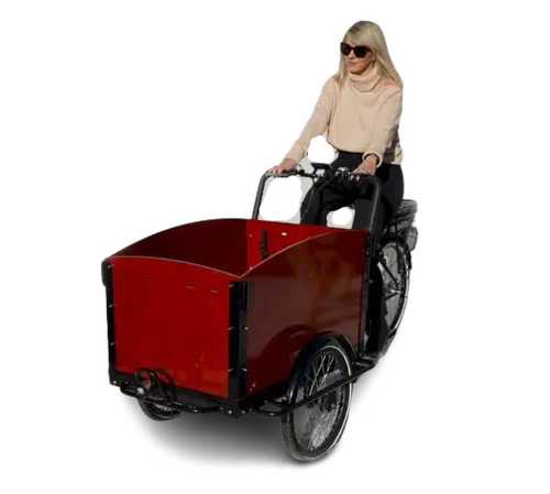 Bakfiets family cargo - , bike