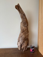 Driftwood Piece   rounded