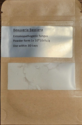Beauveria bassiana bio - beauveria,
