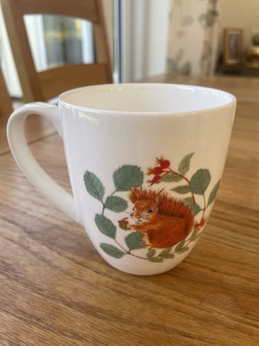 Red squirrel hardwicke - red,