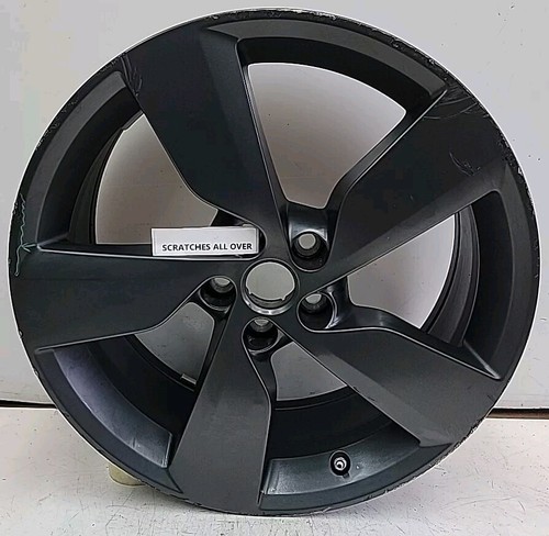 Genuine jaguar pace - e, 19"