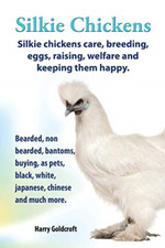 Silkie Chickens Care, Breeding, Eggs, Raising, Welfare  -  NEW Harry Goldcroft 2
