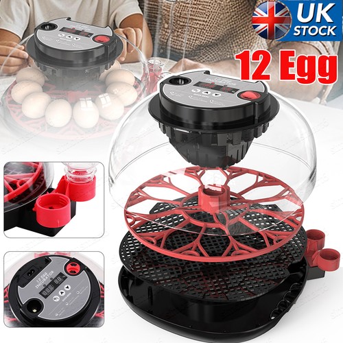 Egg incubators for - 12-24,