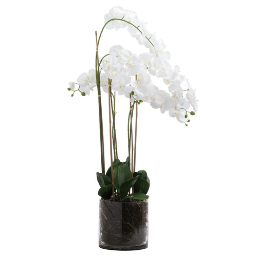 Hill interiors large - interiors, white