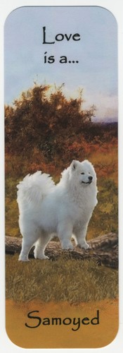 Samoyed dog bookmark same - bookmark,
