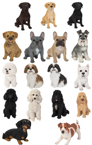Vivid arts dogs - dogs, size