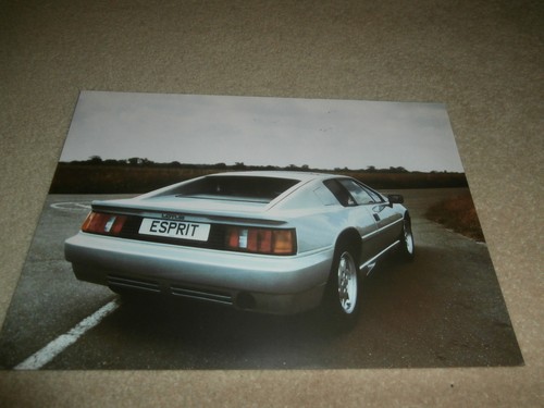 Lotus 1989 esprit leaflet - lotus,
