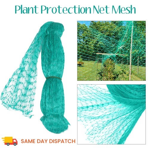 Anti bird pond garden - pond, netting