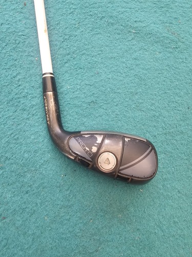 Adams proto dhy degree - dhy,