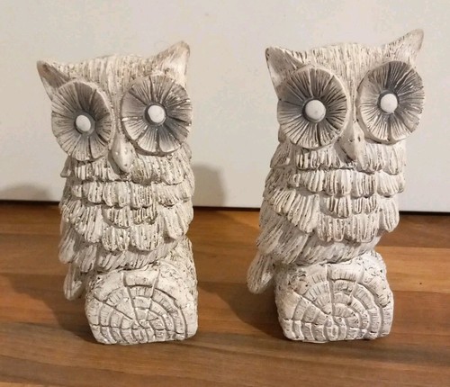 Barn tawny owl wooden - barn,