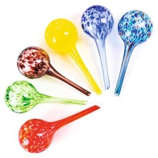 Plant Watering Spheres Blown