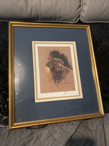 Mick cawston framed signed dog - mick,