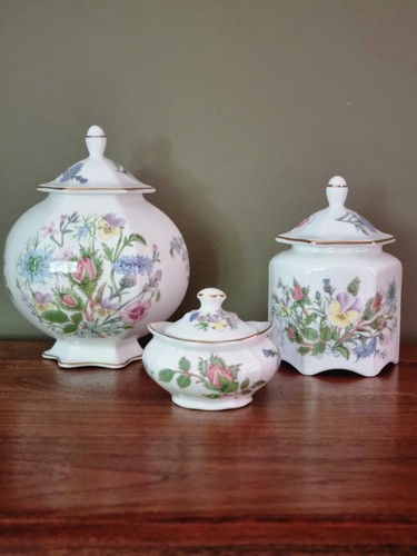 Aynsley wild tudor rose - aynsley,